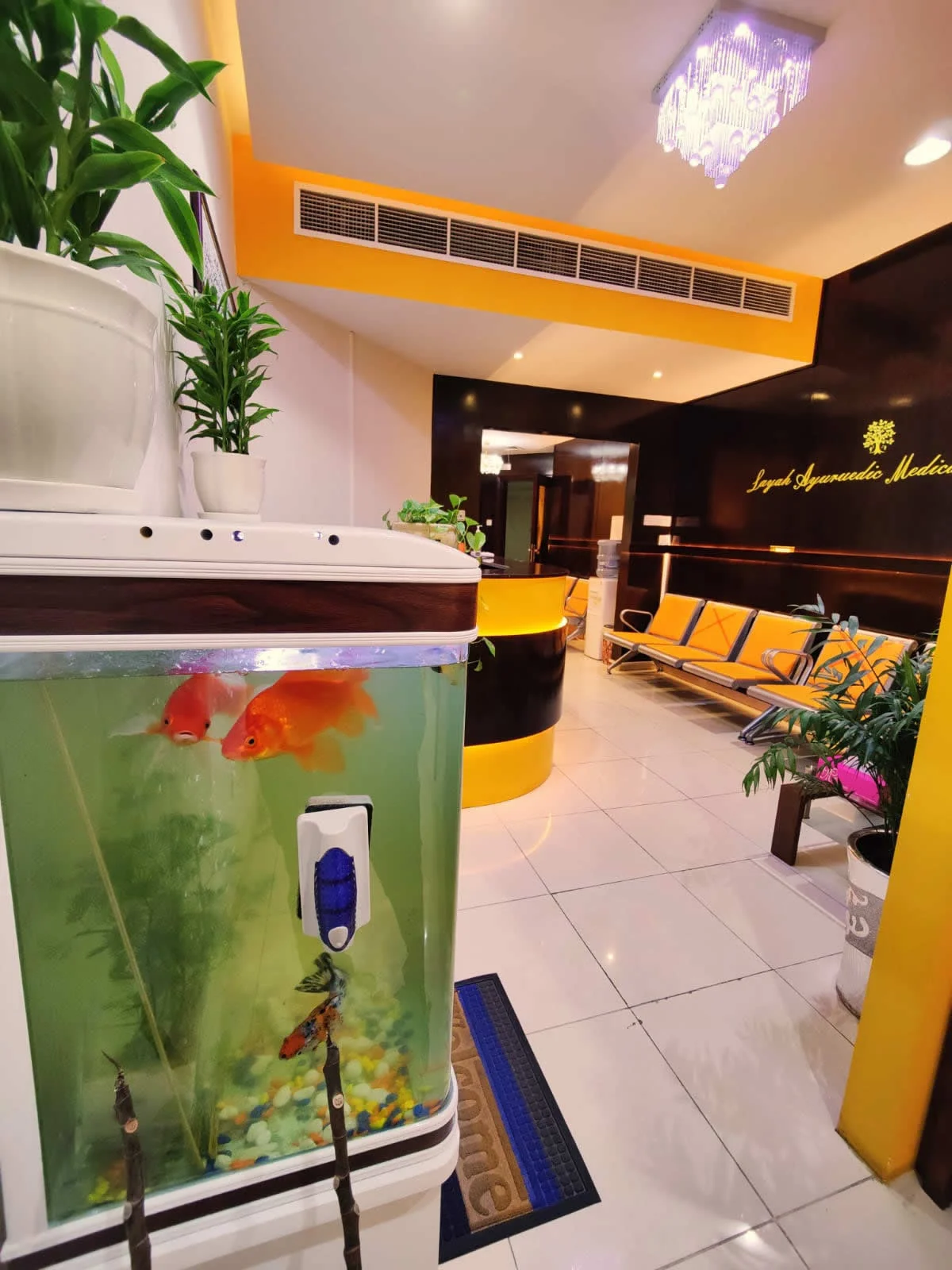 ayurvedic treatment in dubai